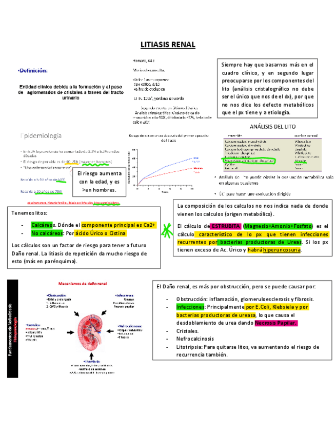 Miniatura del documento 7.pdf