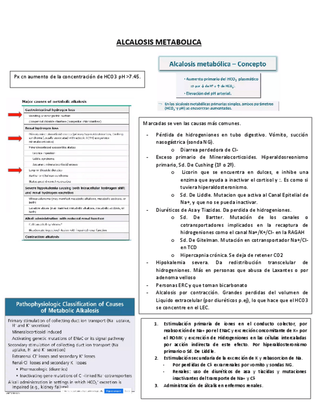 Miniatura del documento 6.pdf