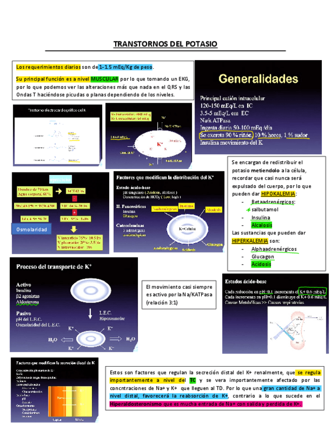 Miniatura del documento 4.pdf