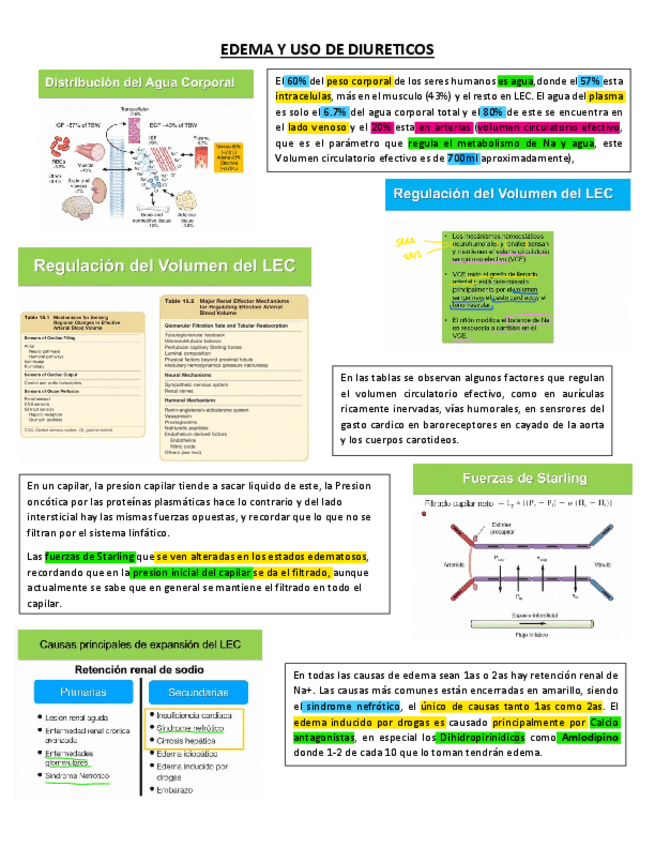 Miniatura del documento 2.pdf