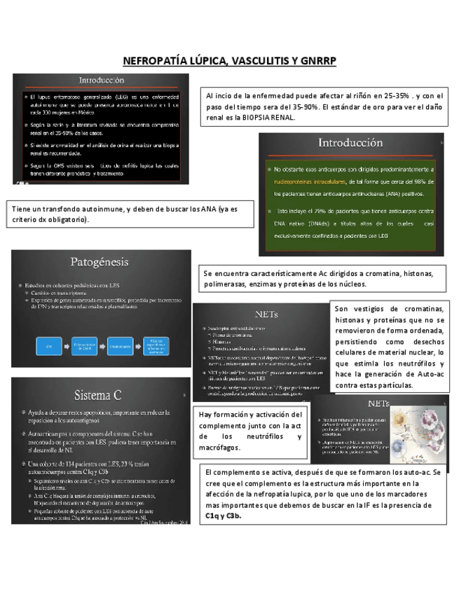 Miniatura del documento 4.pdf