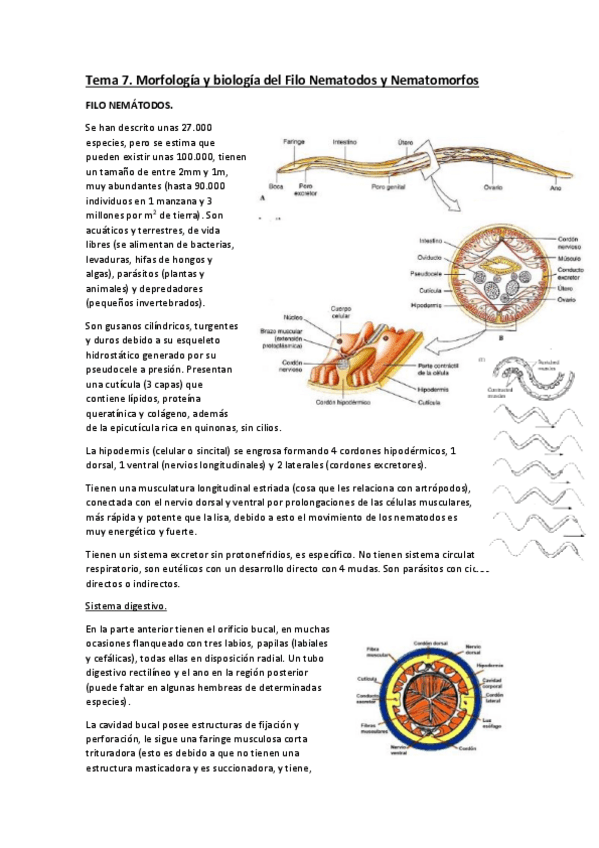 Miniatura del documento TODO-ZOO-final.pdf