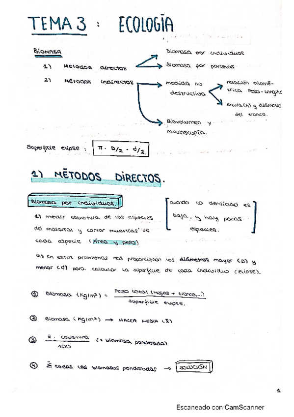Miniatura del documento CamScanner-06-08-2020-21.pdf