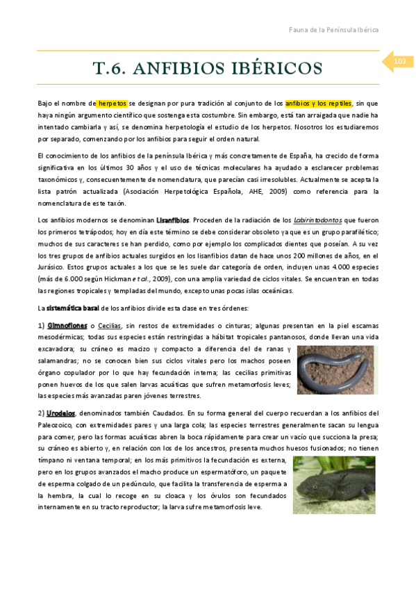 Miniatura del documento T.pdf