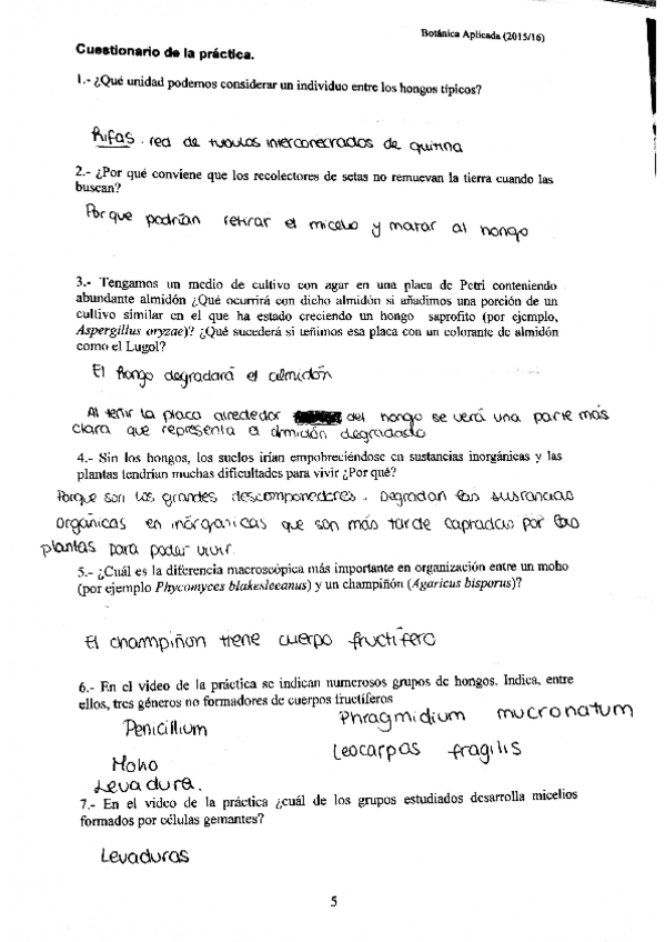 Miniatura del documento botanica 1.pdf