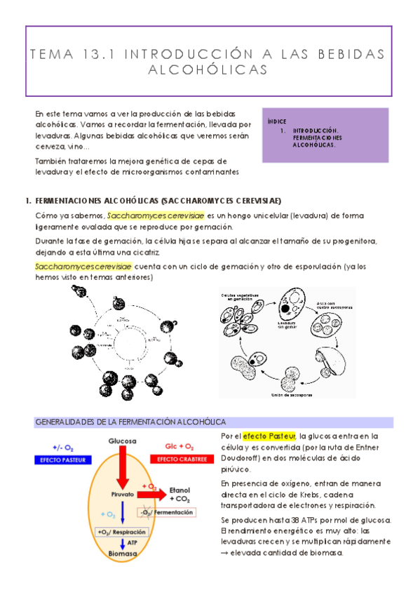 Miniatura del documento TEMA-13.pdf