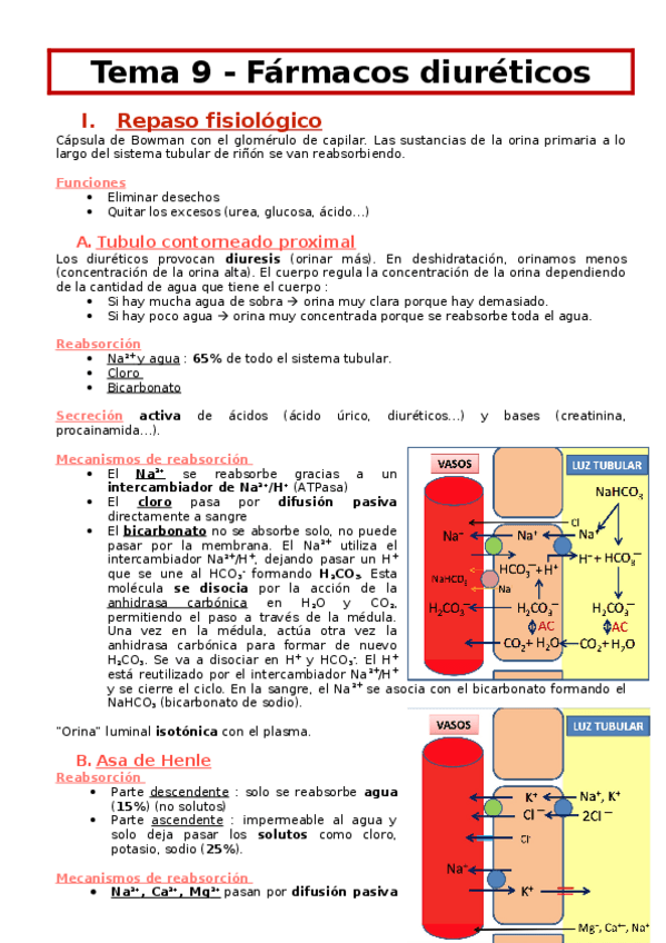 Miniatura del documento Tema-9-Farmacologia-diuretica.docx