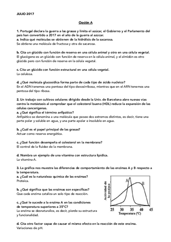Miniatura del documento Opción A