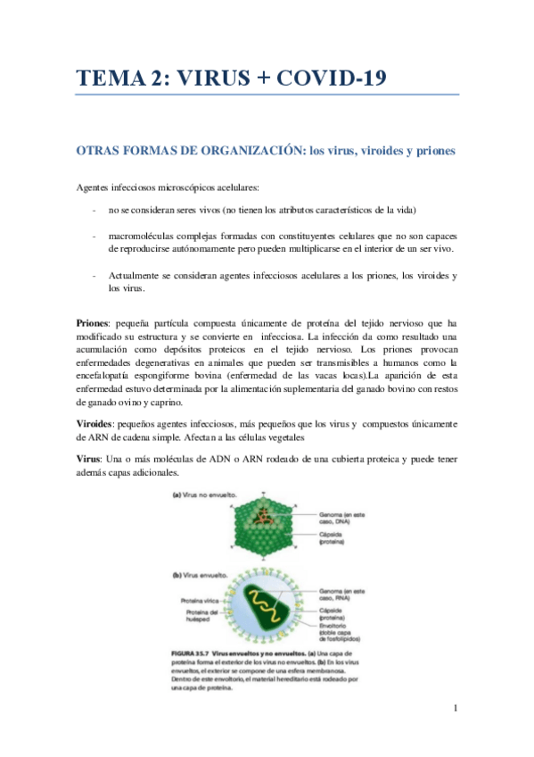 Miniatura del documento T2-virus.pdf