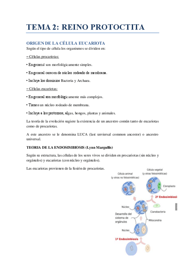 Miniatura del documento T2-protozoos.pdf