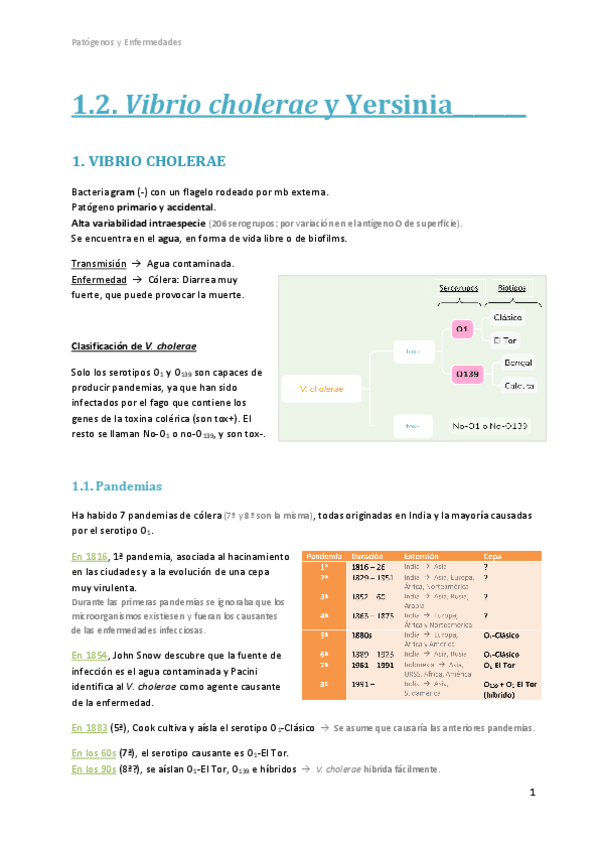 Miniatura del documento 1.2. Vibrio cholerae y Yersinia