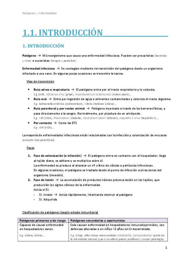 Miniatura del documento 1.1. Introducción