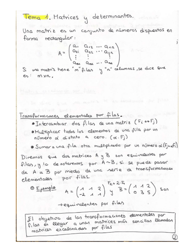 Miniatura del documento APUNTESMATRICESCONEJEMPLOScompressed.pdf