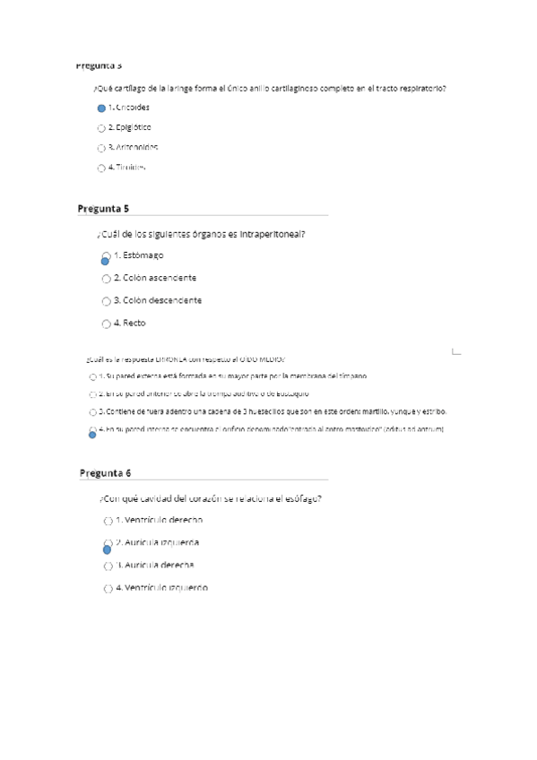 Miniatura del documento examen.docx