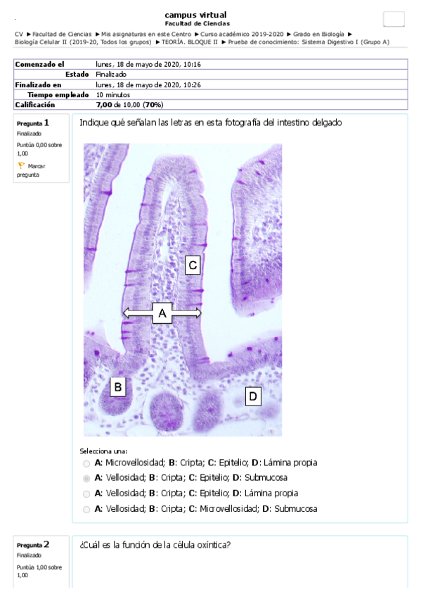 Miniatura del documento Prueba-de-conocimiento-Sistema-Digestivo-I-Grupo-A.pdf