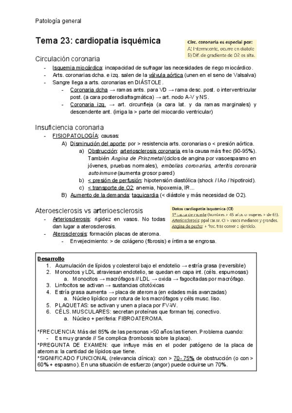 Miniatura del documento T23-Cardiopatia-isquemica.pdf