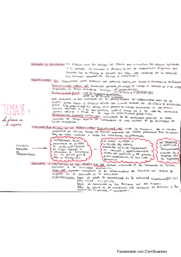 Miniatura del documento OGE-esquema-Tema-8.pdf