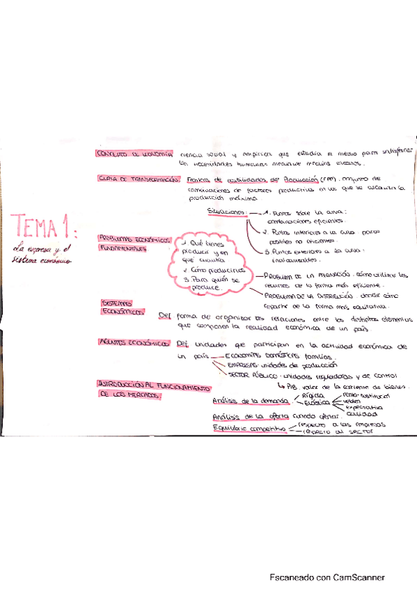 Miniatura del documento OGE-esquema-Tema-1.pdf