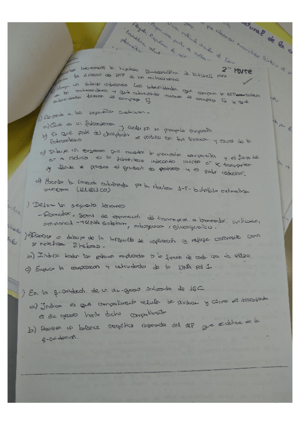 Miniatura del documento Parcial.pdf