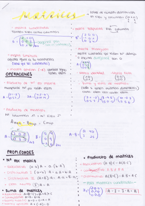 Miniatura del documento MATRICES.pdf