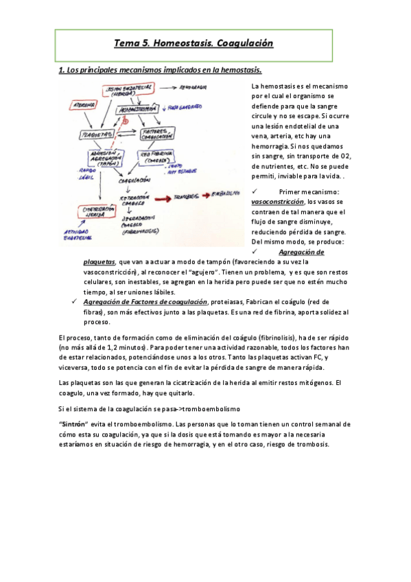 Miniatura del documento Tema-5.pdf