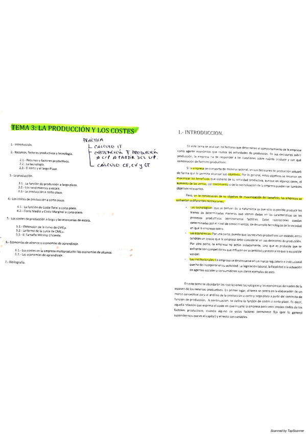 Miniatura del documento TEMA-3.pdf