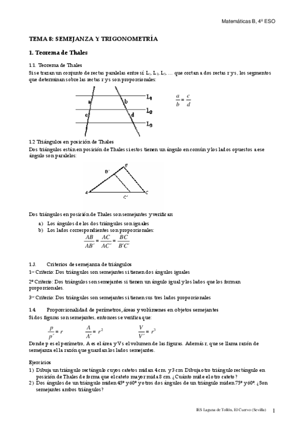 Miniatura del documento SEMEJANZA-Y-TRIGONOMETRIA.pdf