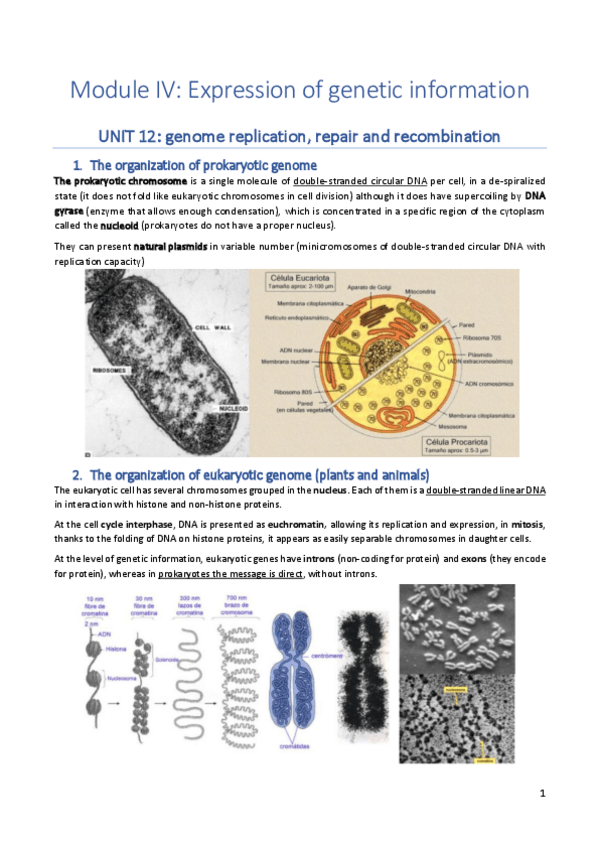 Miniatura del documento Biochemistry-module-IV.pdf