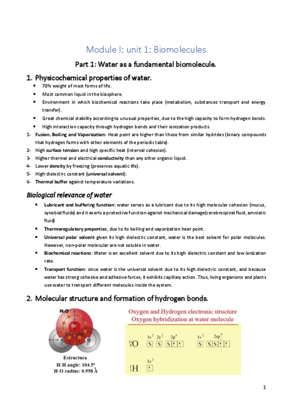 Miniatura del documento Biochemistry-and-molecular-biology-module-I.pdf