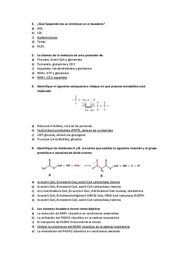 Miniatura del documento EXAMEN-METABOLISMO.pdf