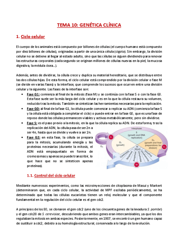 Miniatura del documento TEMA-10-Genetica.pdf