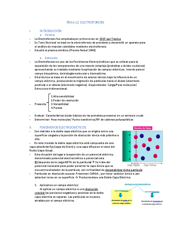 Miniatura del documento TEMA-12-.pdf