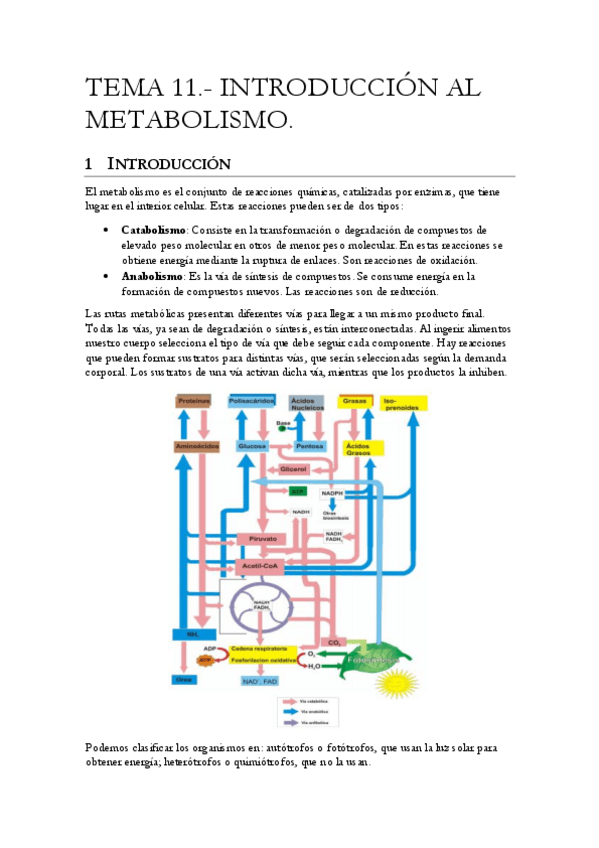 Miniatura del documento TEMAS-11-20.pdf