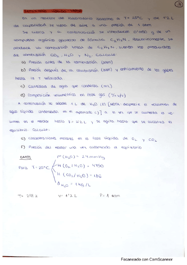 Miniatura del documento seminario-liquido-vapor.pdf