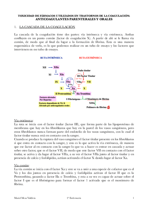 Miniatura del documento PDF-ANTICOAGULANTES.pdf
