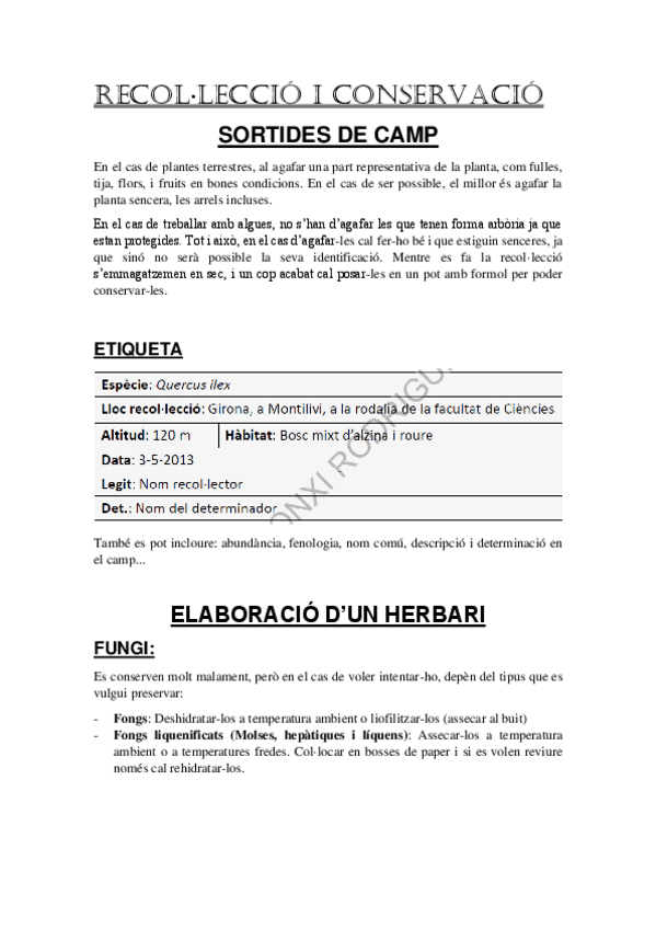 Miniatura del documento Resum-Botanica-GM.pdf