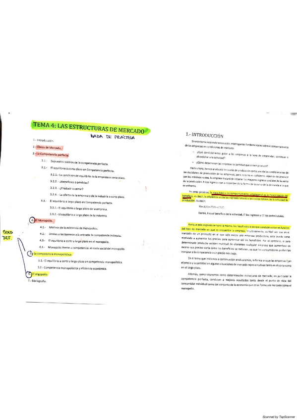 Miniatura del documento TEMA-4.pdf