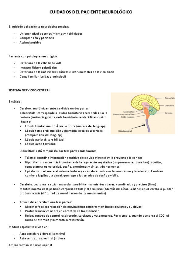 Miniatura del documento NUEROLOGIA-pdf-imprimir.pdf
