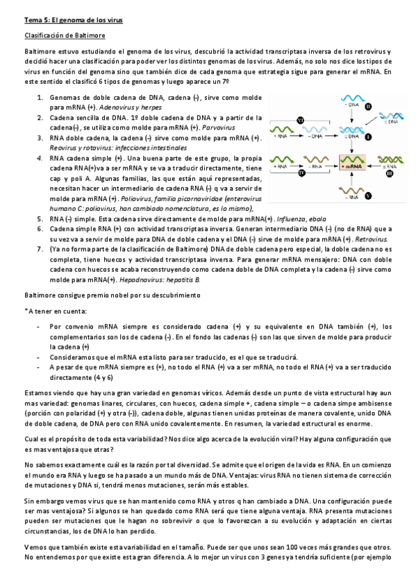 Miniatura del documento Tema-5.pdf