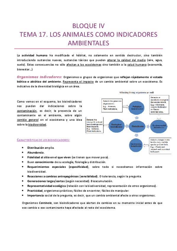 Miniatura del documento BLOQUE-IV.pdf