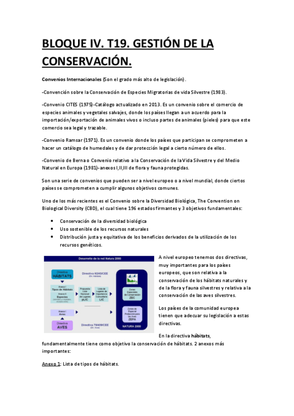 Miniatura del documento BLOQUE-IV.pdf