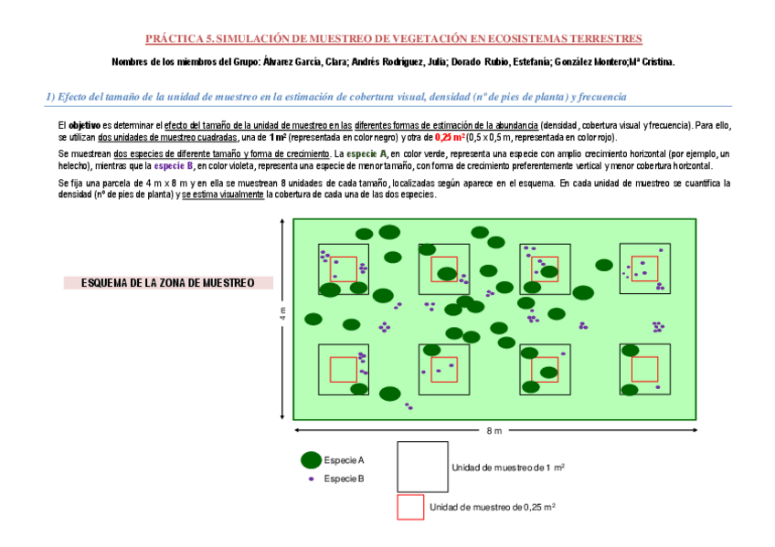 Miniatura del documento Practica-5.pdf