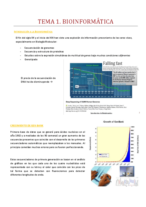 Miniatura del documento TEORIABIOINFORMATICA.pdf