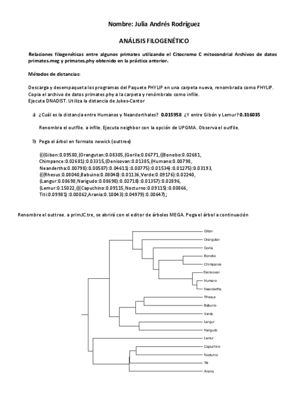 Miniatura del documento P4AndresRodriguezJulia.pdf