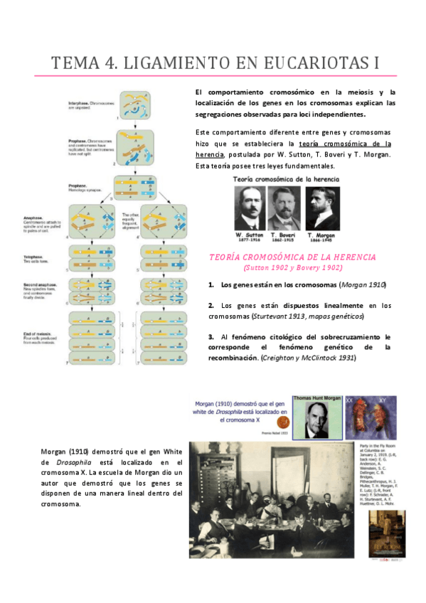 Miniatura del documento TEMA-4.pdf
