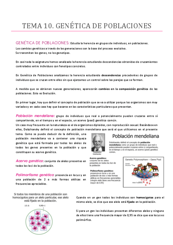 Miniatura del documento TEMA-10.pdf