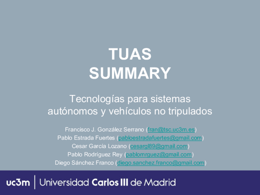 Miniatura del documento TUASSummaryFinal.pdf