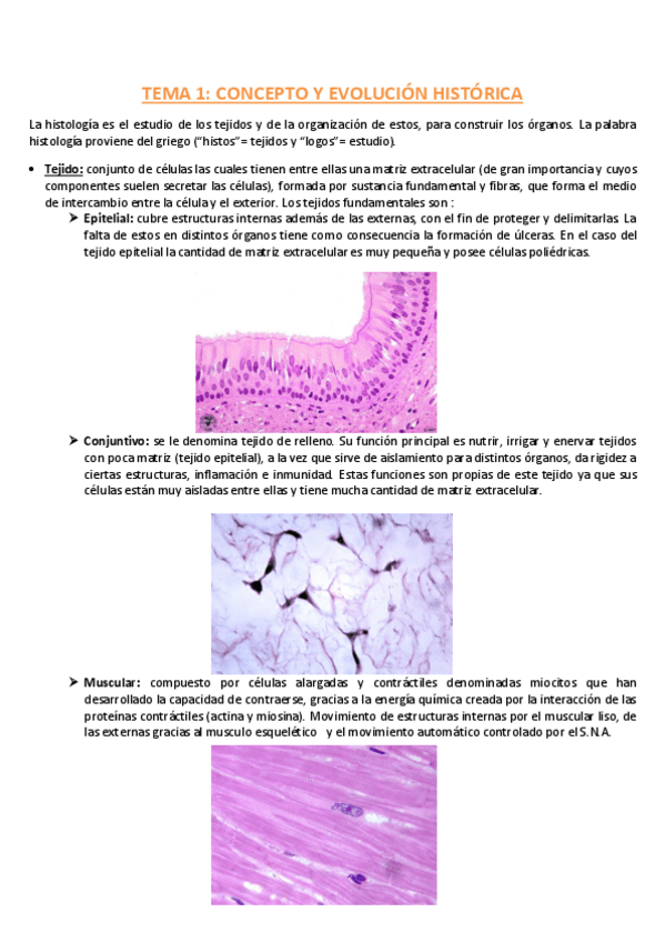 Miniatura del documento TEMA-1-HISTOLOGIA.pdf