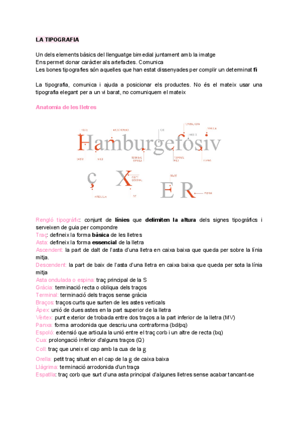 Miniatura del documento La tipografia