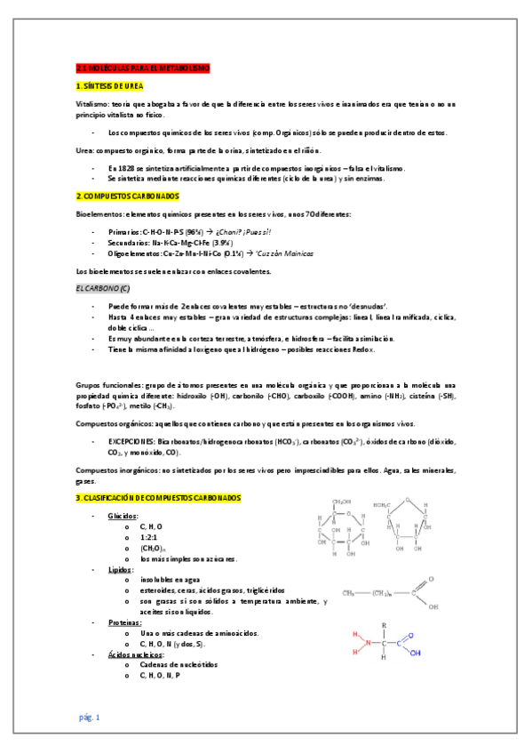 Miniatura del documento IB-biologia-Unidad-2.pdf